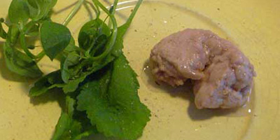 20090126tarakimo1.jpg
